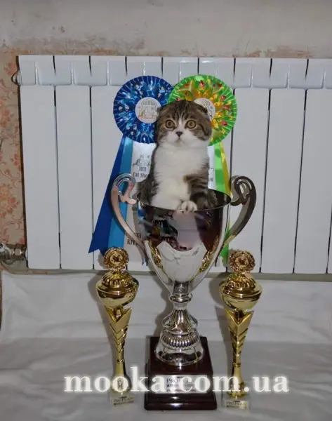 З Днем народження!