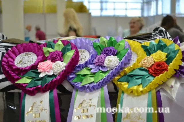 Наші улюбленці