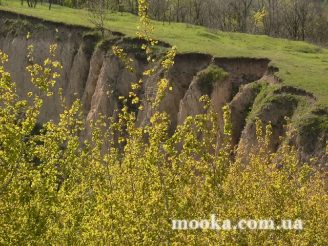 Світ навколо нас (наші фотографії)