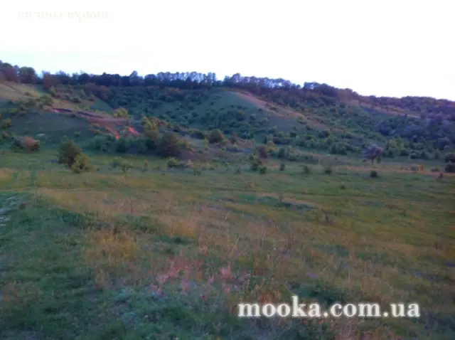 Світ навколо нас (наші фотографії)