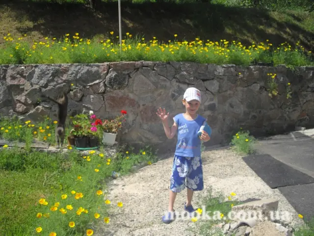 Зустрічі під калиною