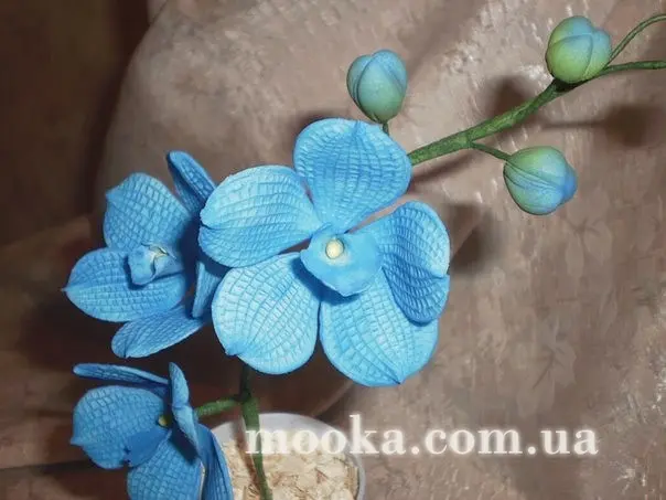 Кондитерские курсы, обучающие мастера. Объявления. Отзывы