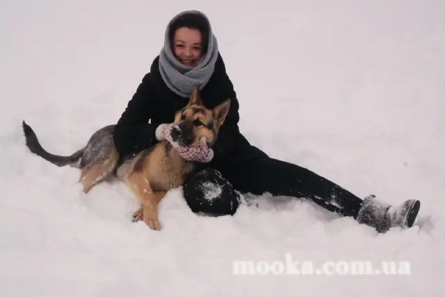 Наші улюбленці