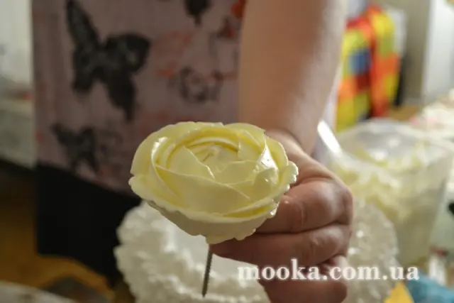 Зустрічі під калиною