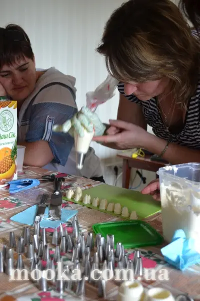 Зустрічі під калиною
