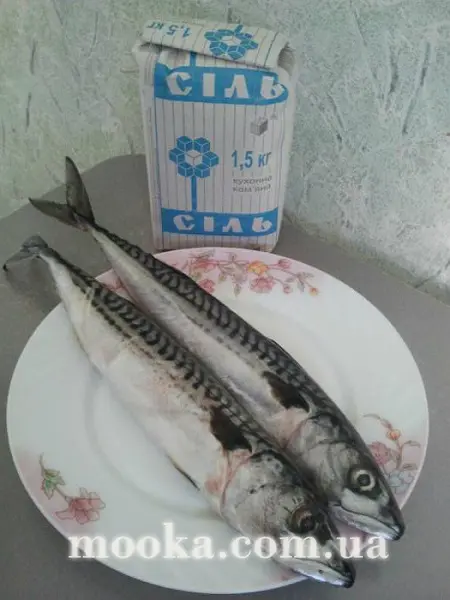 Скумбрия сухого посола