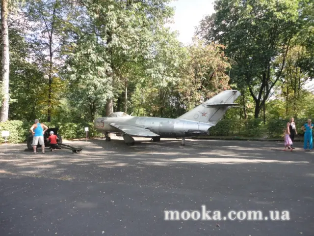 Фотосолянка подорожей
