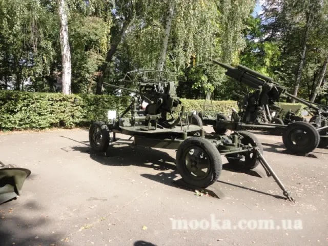 Фотосолянка подорожей