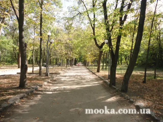 Фотосолянка подорожей