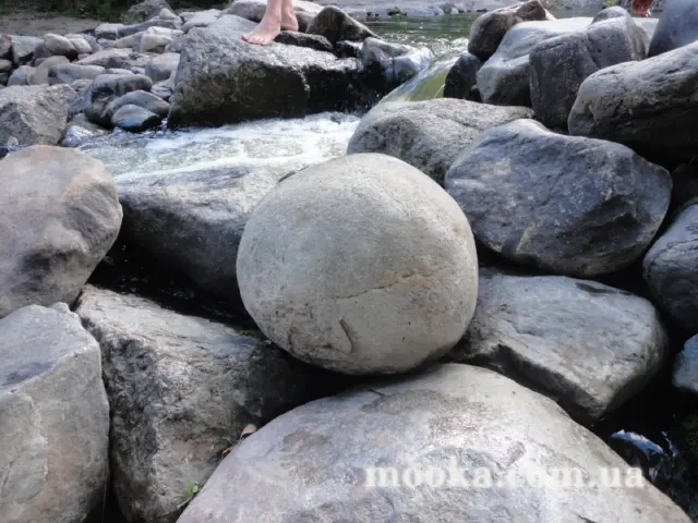 Фотосолянка подорожей