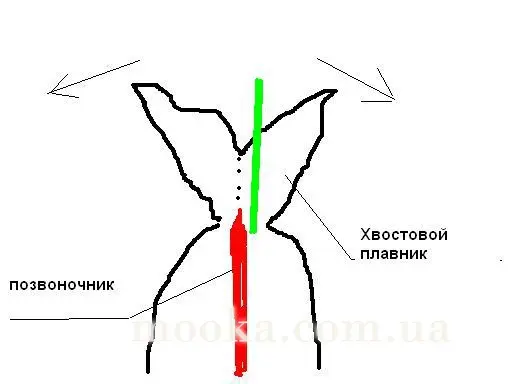 Селедка работающая под прикрытием