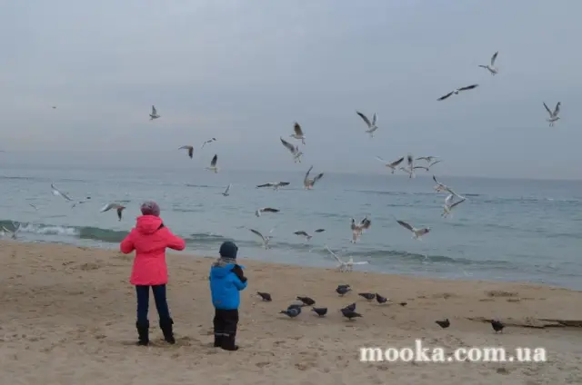 Ах, Одесо, перлина біля моря!