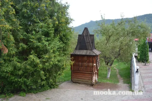 Кухонні посиденьки (балачки)