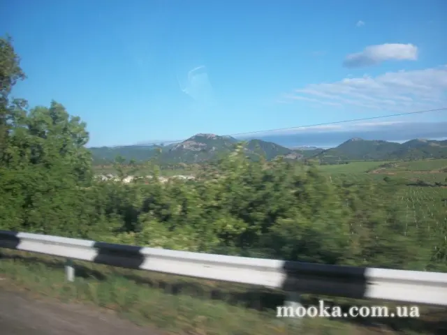 Світ навколо нас (наші фотографії)