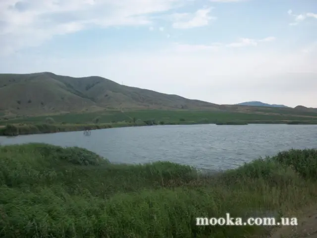 Світ навколо нас (наші фотографії)