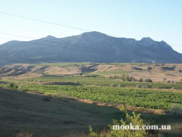 Світ навколо нас (наші фотографії)