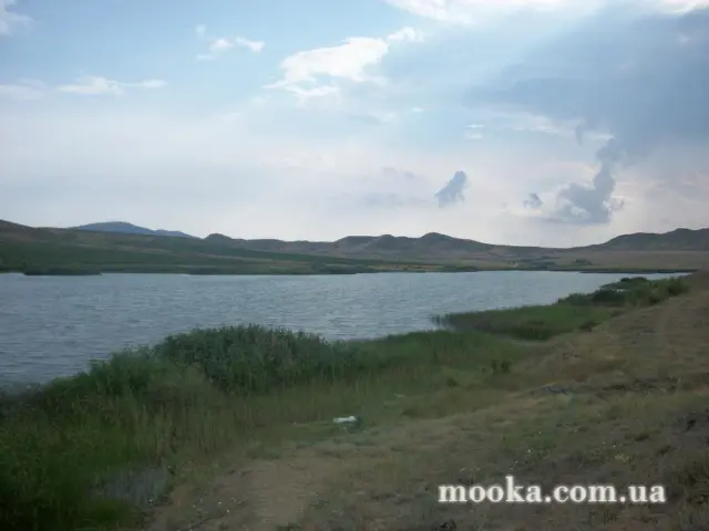 Світ навколо нас (наші фотографії)