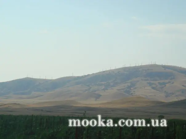 Світ навколо нас (наші фотографії)