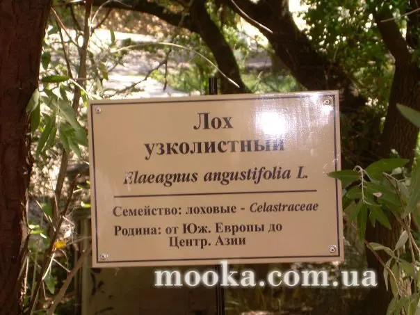Світ навколо нас (наші фотографії)