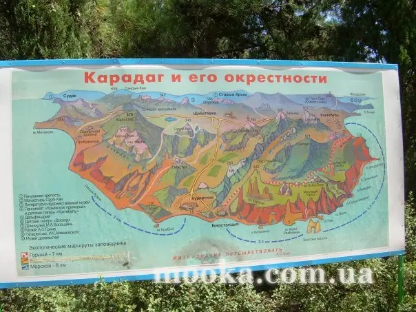 Світ навколо нас (наші фотографії)