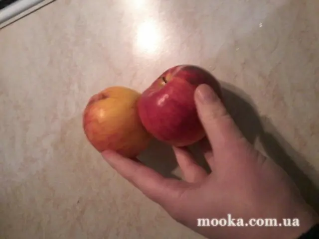 Фрукты, овощи