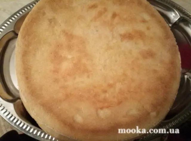 Піццепічки. Вибір моделі