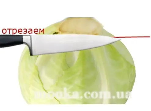 Як розрізати капусту для шатківниці
