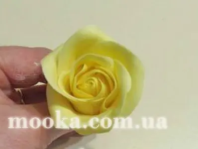 Розы без проволки