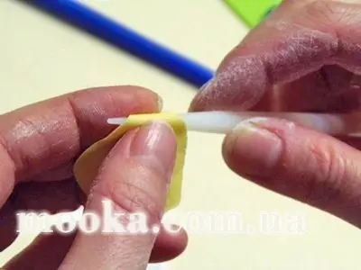 Розы без проволки