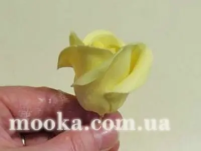 Розы без проволки