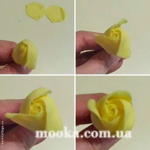 Розы без проволки