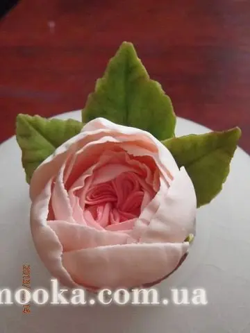 Английские розы без проволоки
