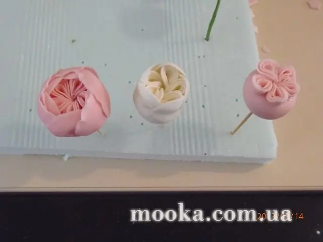 Английские розы без проволоки