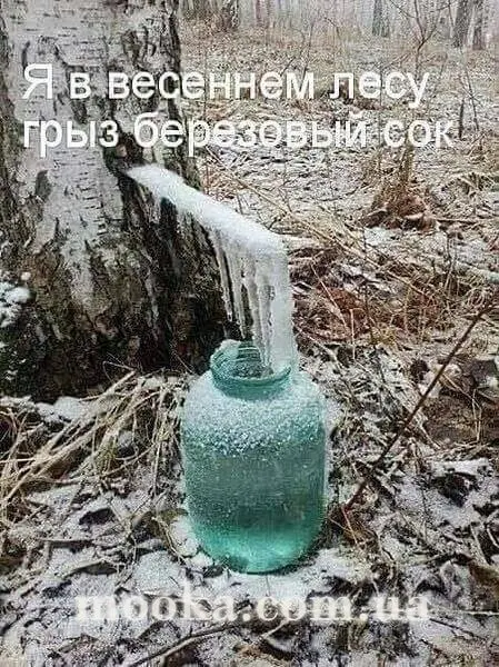 Сок березовый  с лимоном