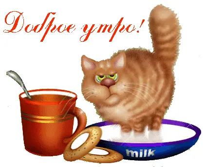 Кухонні посиденьки (балачки)