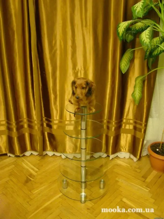 Подставки под торт
