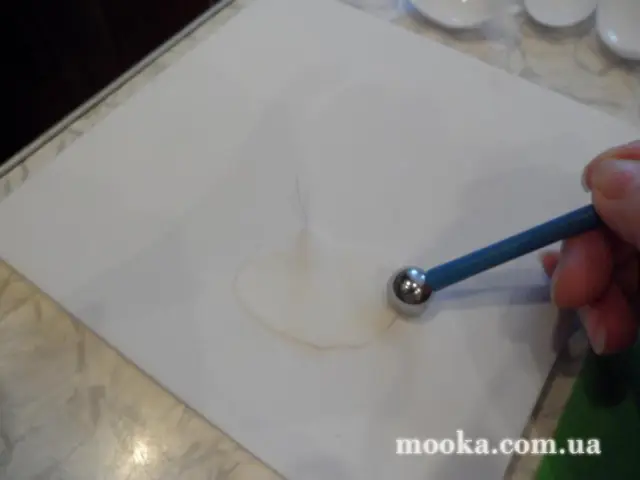 Орхидея Фаленопсис