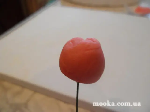 Мак с сахарной мастики