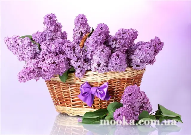 З Днем народження!