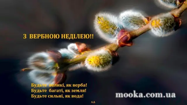 Вітаємо!
