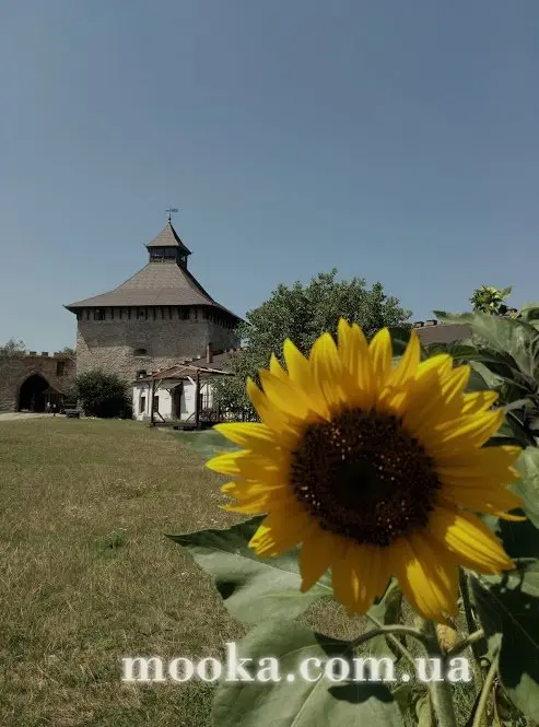 Фотосолянка подорожей