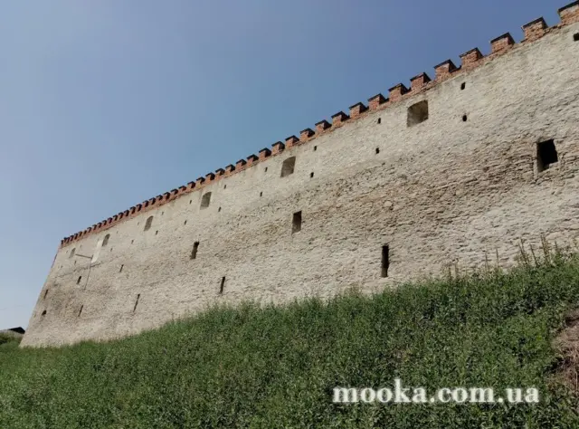 Фотосолянка подорожей