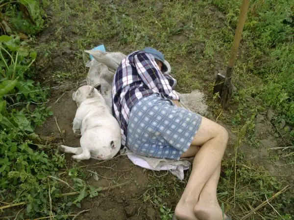 Наші улюбленці