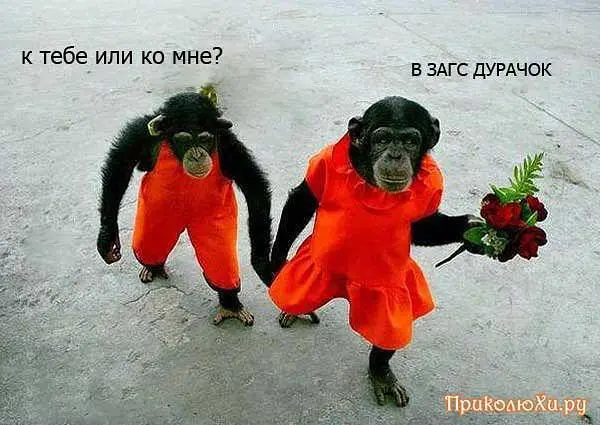 Милі позитивники