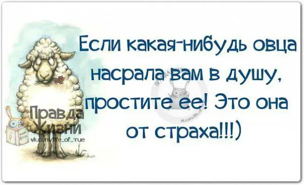 Милі позитивники