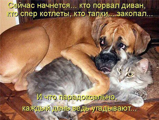 Милі позитивники