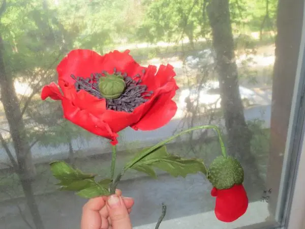 Кухонні посиденьки (балачки)