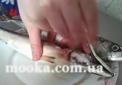 Скумбрия сухого посола