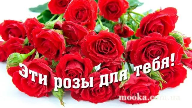 З Днем народження!