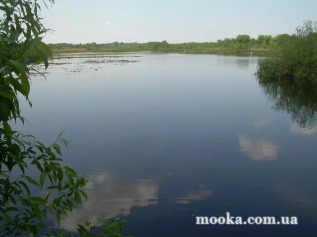 Фотосолянка подорожей